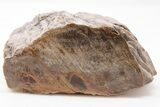 Devonian Petrified Wood From Oklahoma - Oldest True Wood #198032-1